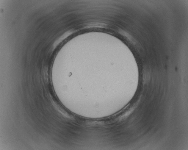 X0000081291113200702012237