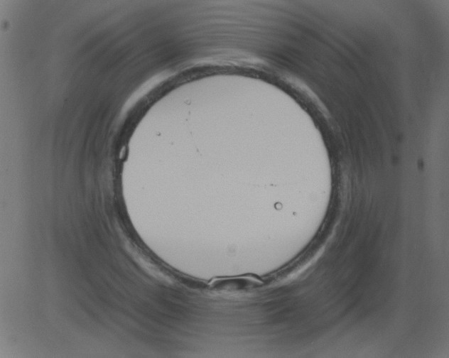 X0000081291114200702012237