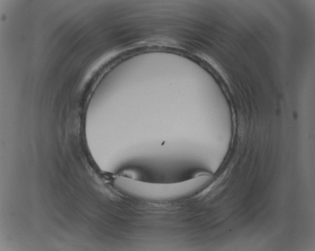 X0000081291115200702012237