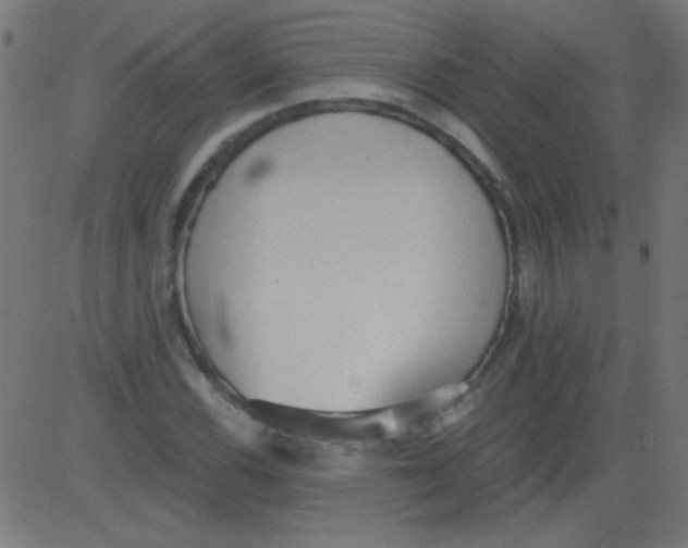 X0000081291116200702012237