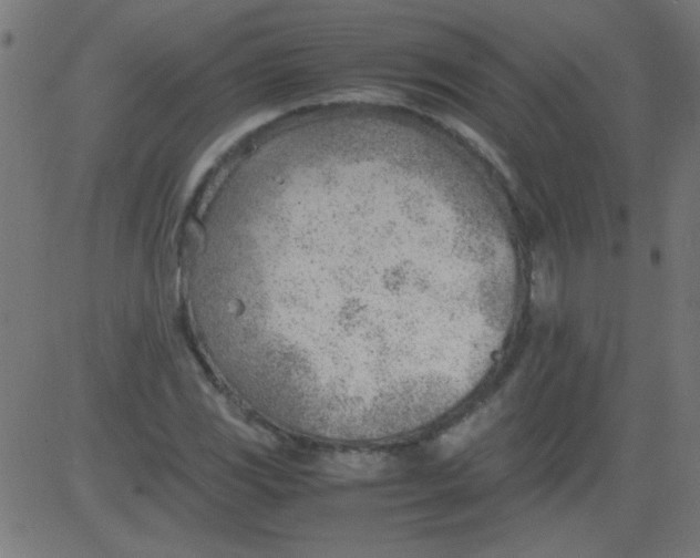 X0000081291117200702012237