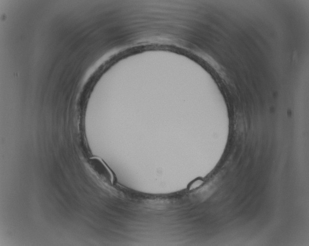 X0000081291118200702012237