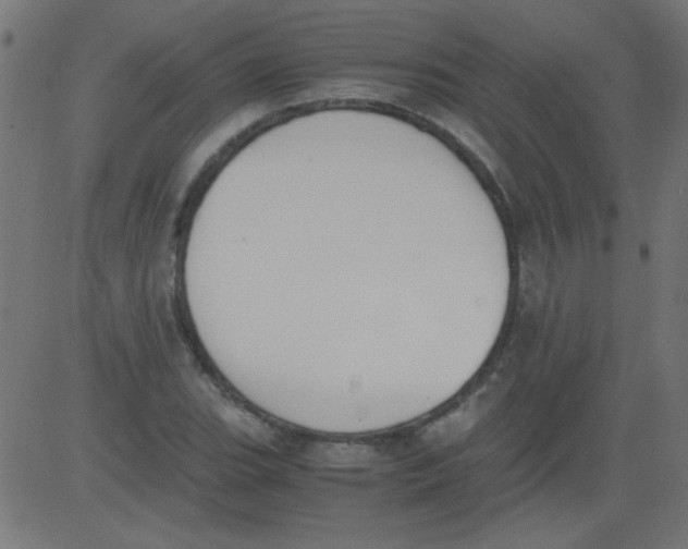 X0000081291119200702012237