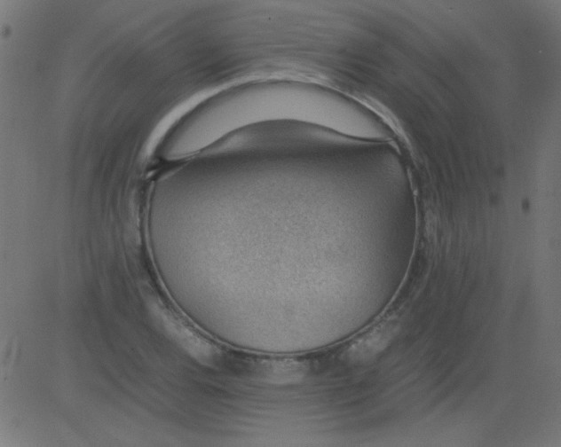 X0000081291120200702012237