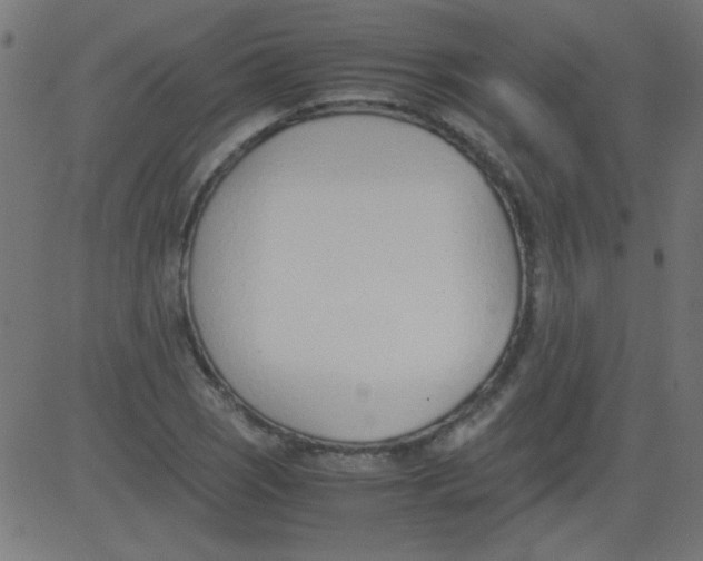 X0000081291121200702012237