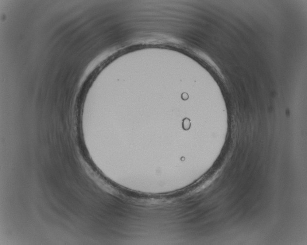 X0000081291122200702012237