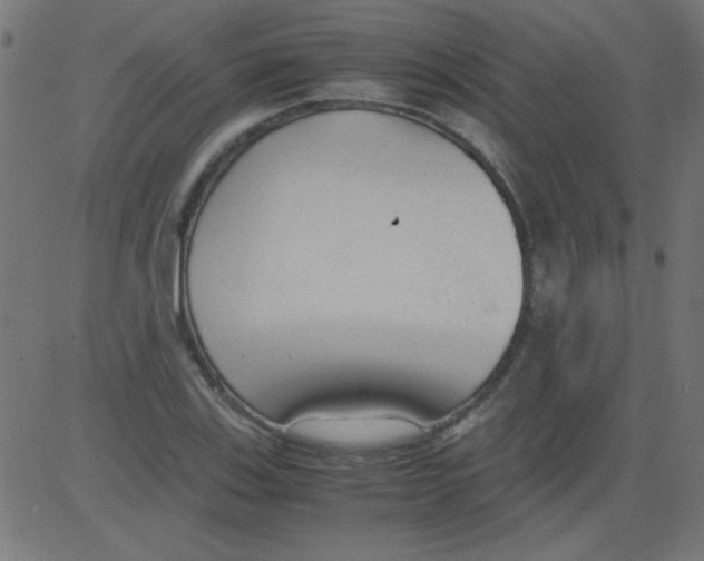 X0000081291123200702012237