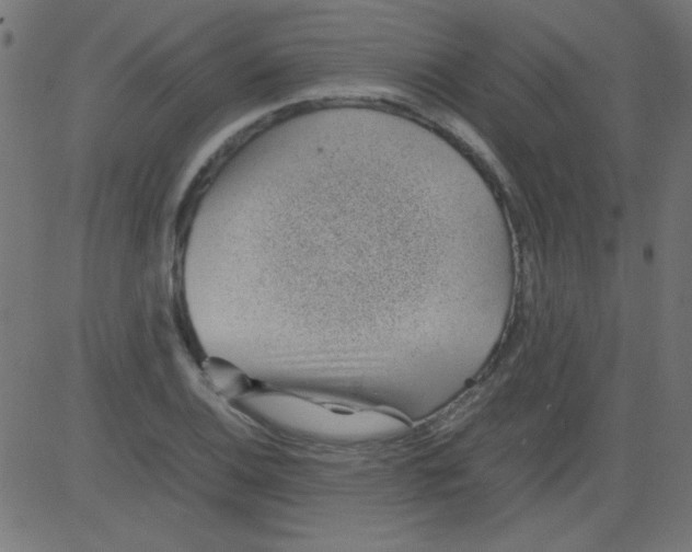 X0000081291124200702012237