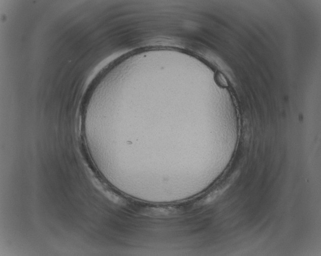 X0000081291125200702012237