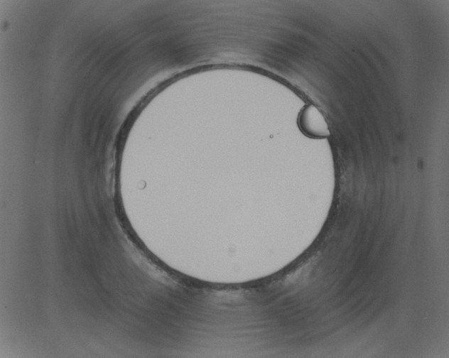 X0000081291126200702012237