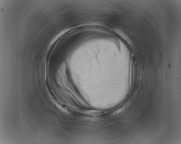 X0000081291127200702012237