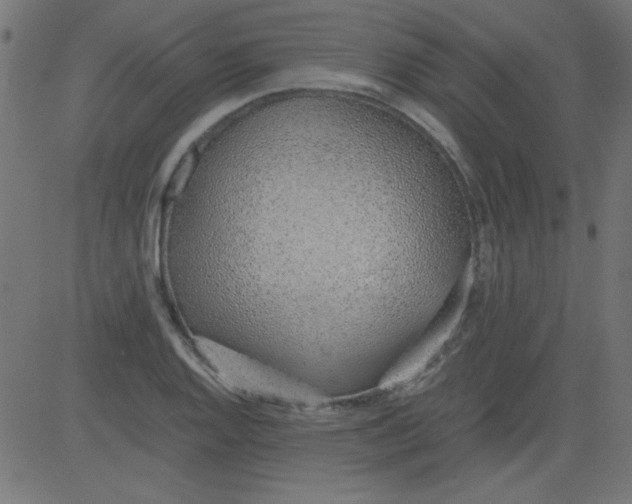 X0000081291128200702012237