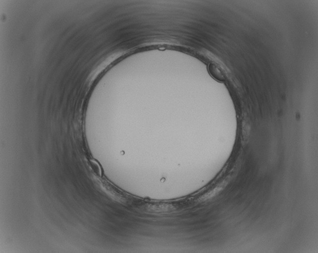 X0000081291129200702012237