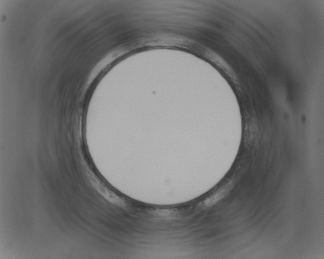 X0000081291130200702012237