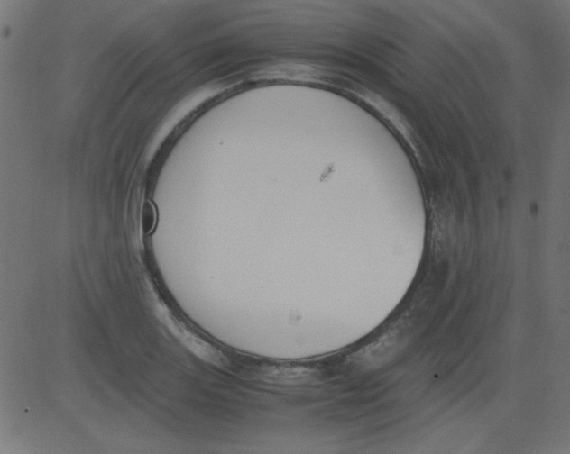 X0000081291131200702012237