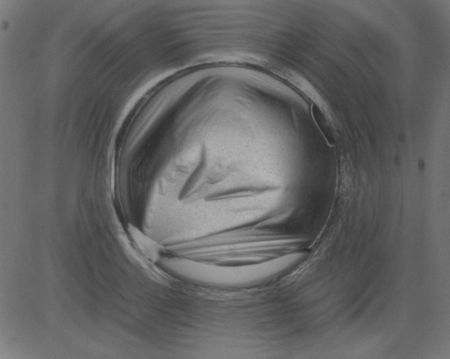 X0000081291132200702012237