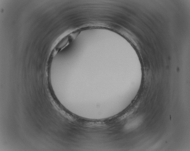 X0000081291133200702012237