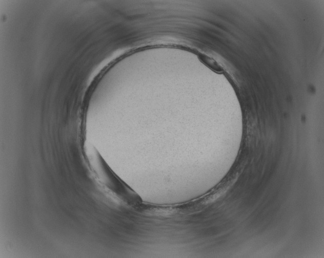 X0000081291134200702012237