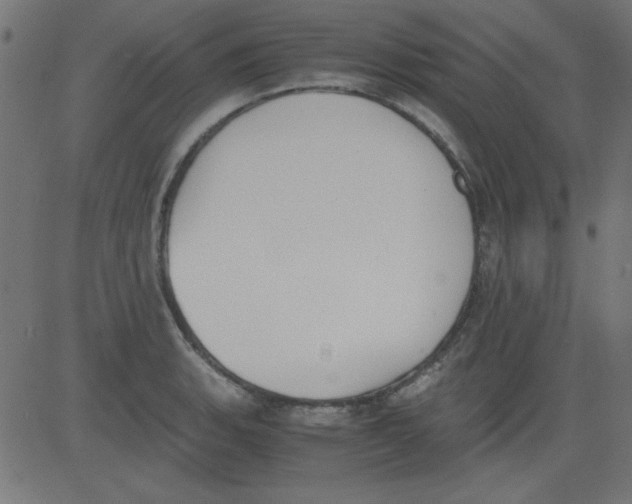 X0000081291135200702012237