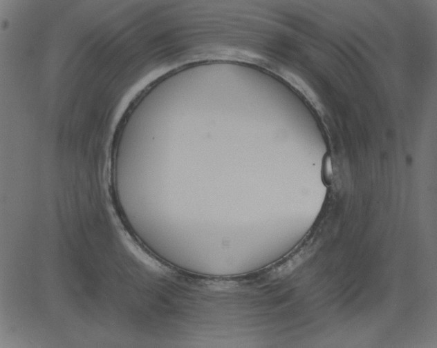 X0000081291136200702012237