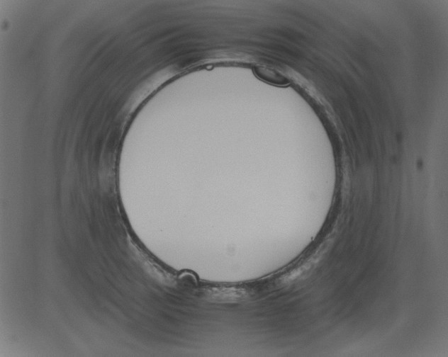 X0000081291137200702012238