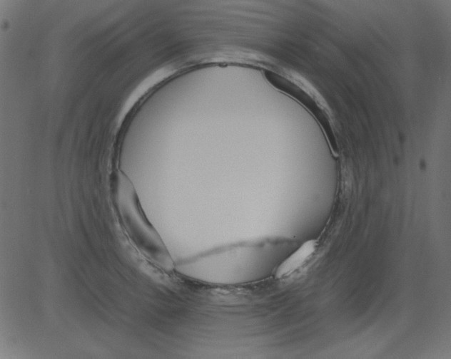 X0000081291138200702012238