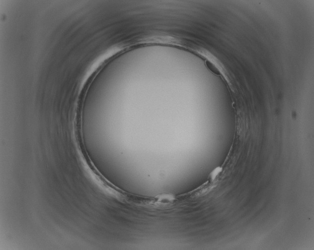 X0000081291139200702012238