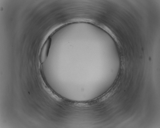 X0000081291140200702012238