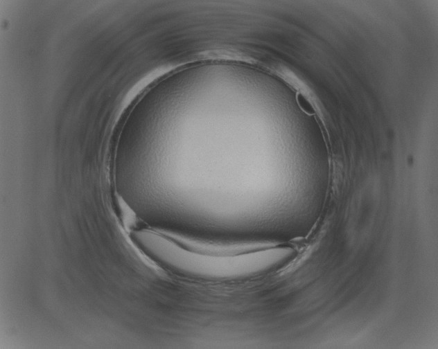 X0000081291141200702012238