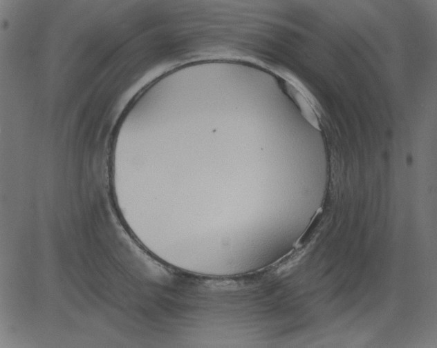 X0000081291142200702012238