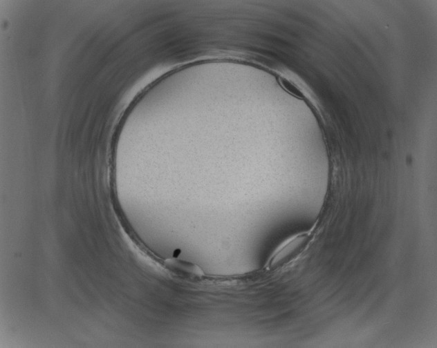 X0000081291143200702012238