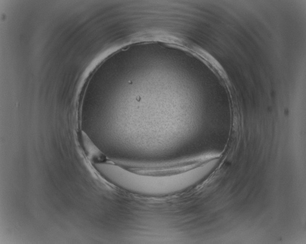 X0000081291144200702012238