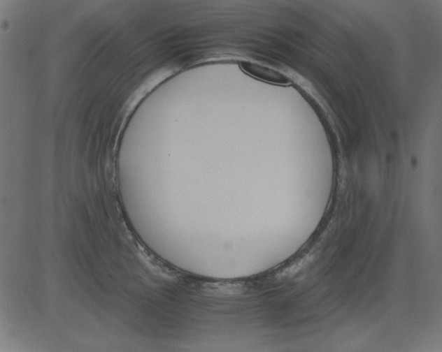 X0000081291145200702012238