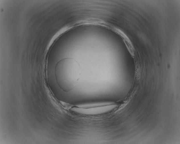 X0000081291146200702012238