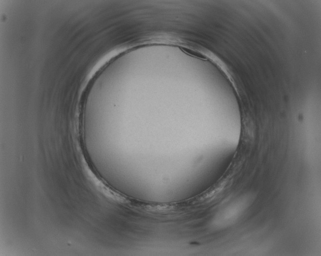 X0000081291147200702012238