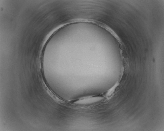 X0000081291148200702012238