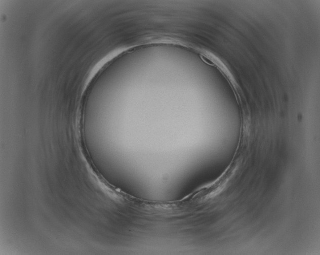 X0000081291149200702012238