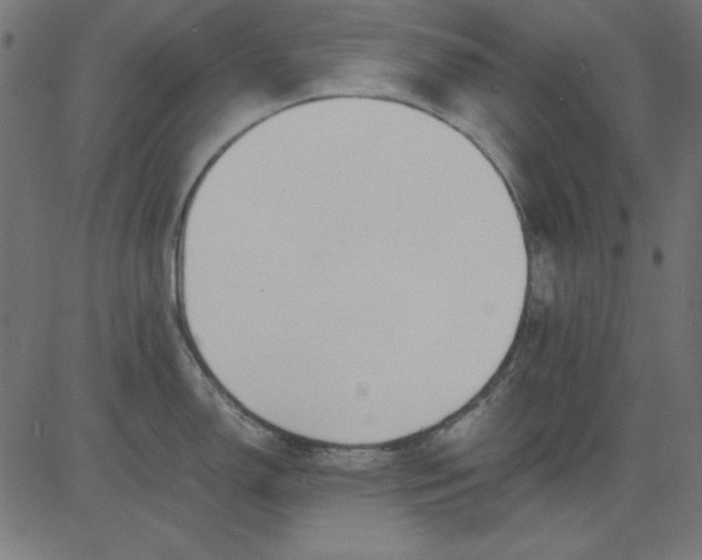 X0000081291150200702012238