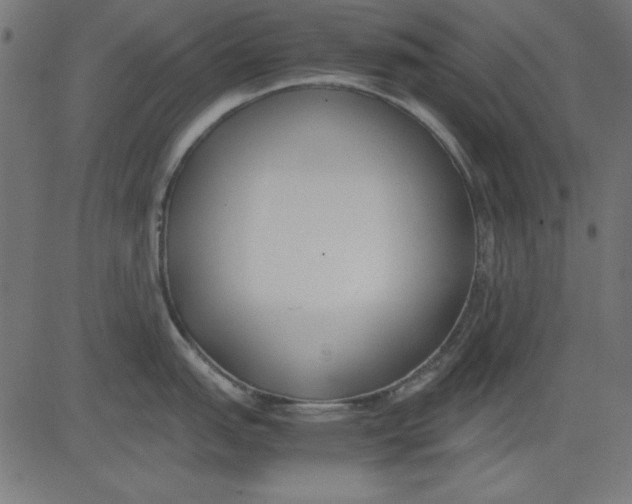 X0000081291151200702012238