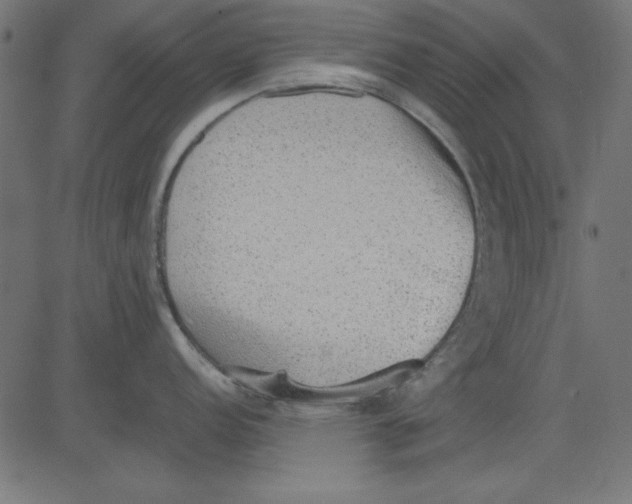 X0000081291152200702012238