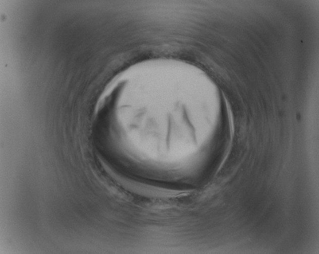 X0000081291153200702012237