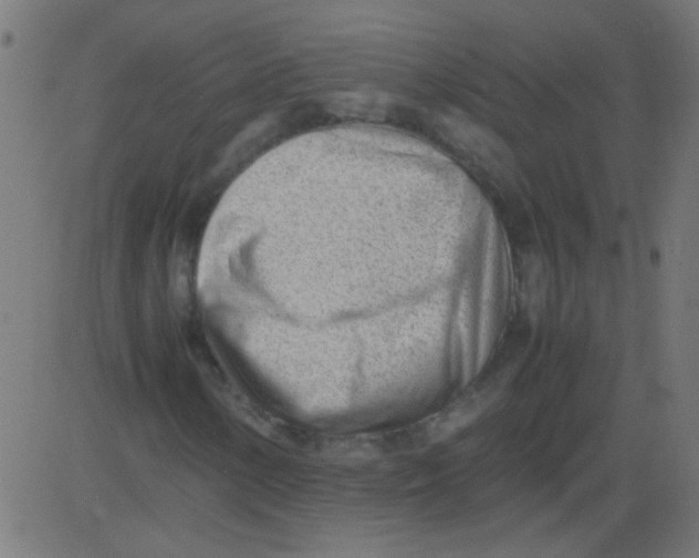 X0000081291154200702012237