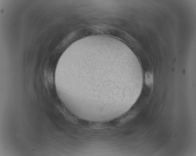 X0000081291155200702012237