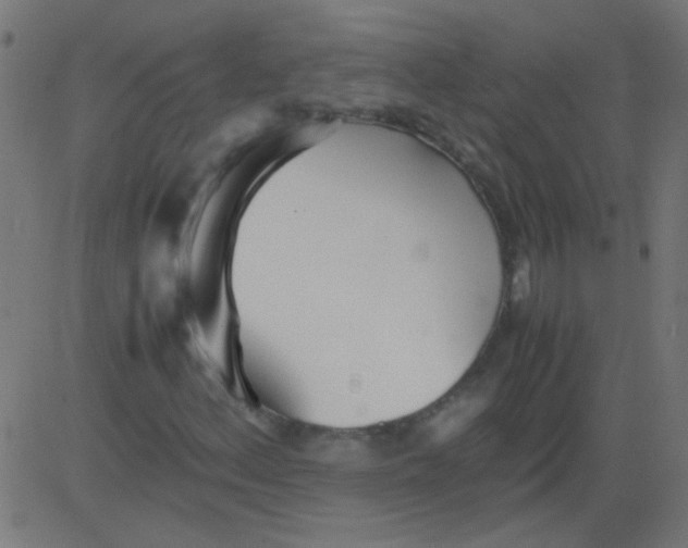 X0000081291156200702012237