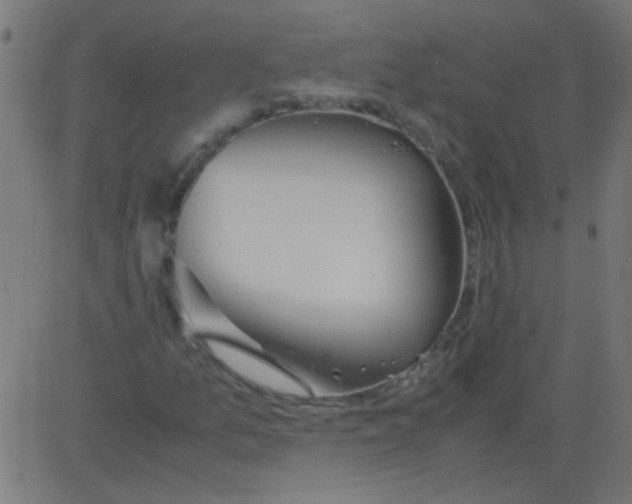 X0000081291157200702012237