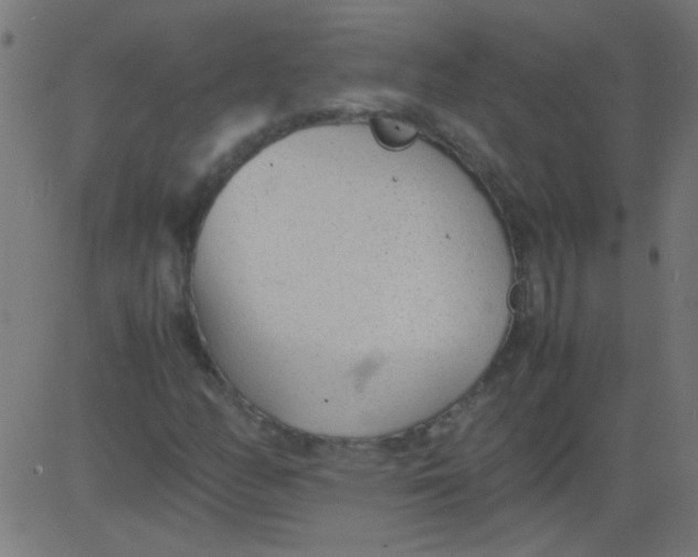 X0000081291158200702012237