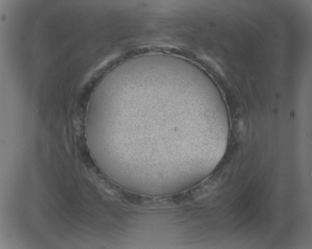 X0000081291159200702012237