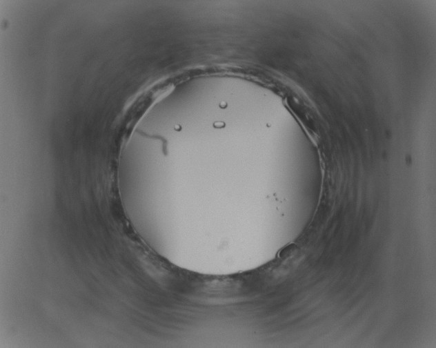 X0000081291160200702012237