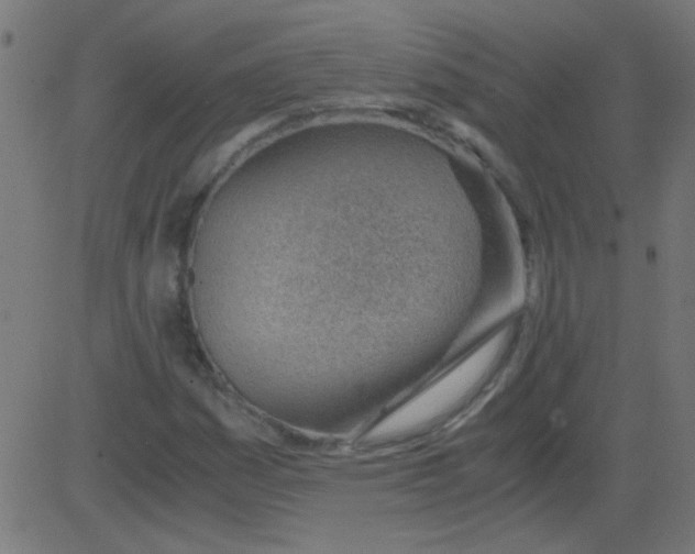 X0000081291161200702012237