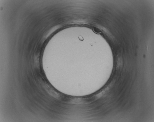 X0000081291162200702012237